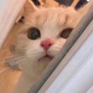 yy6080私人伦理一级二级
